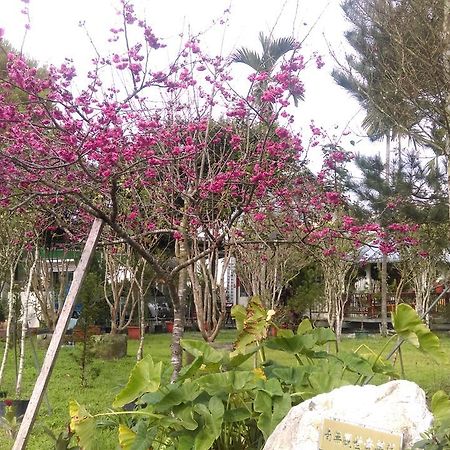 Sun Moon Lake Wild Flower Yuchi Exterior photo
