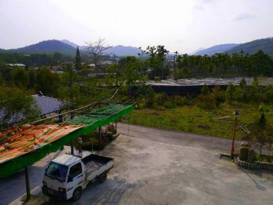 Sun Moon Lake Wild Flower Yuchi Exterior photo